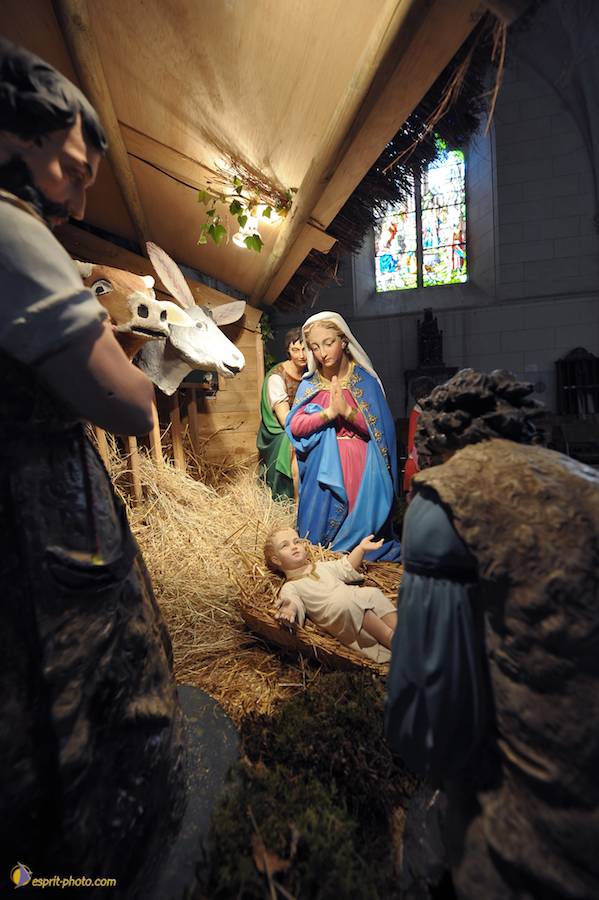 Nom de l'image : D30043083_1_(c)Norbert-JUNG — Description :